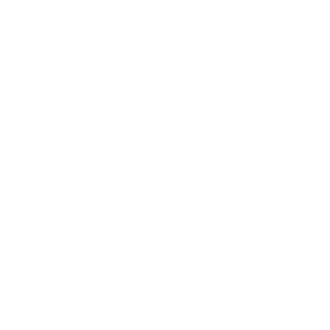 White Move Into The Light Logo